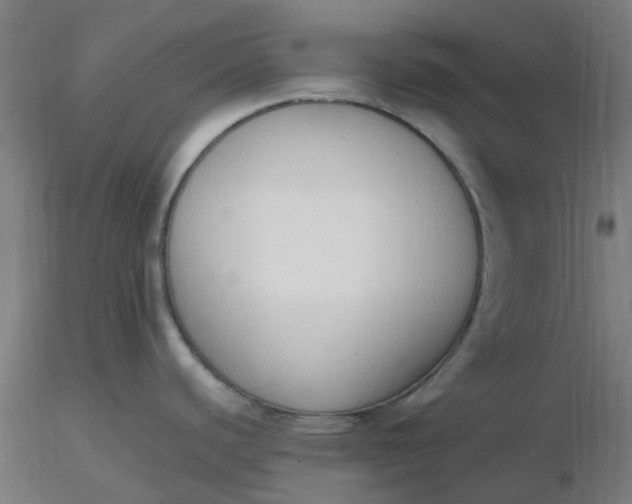 X0000116511440200912231224