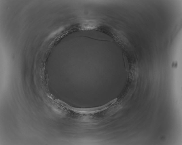 X0000116511441200912231223