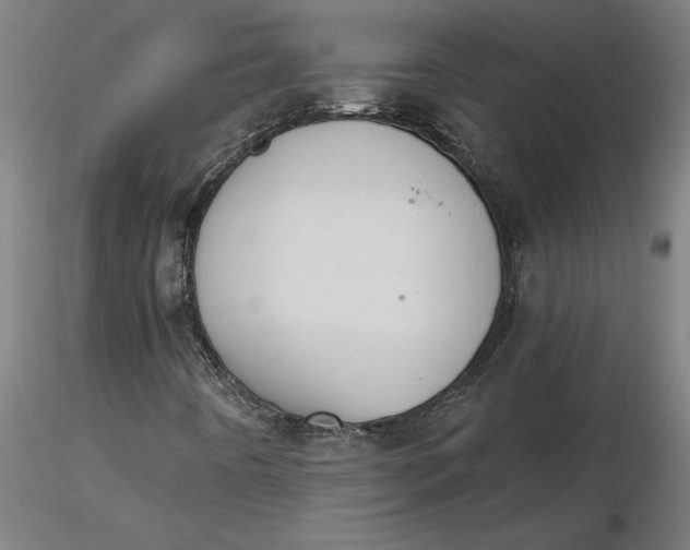 X0000116511442200912231223