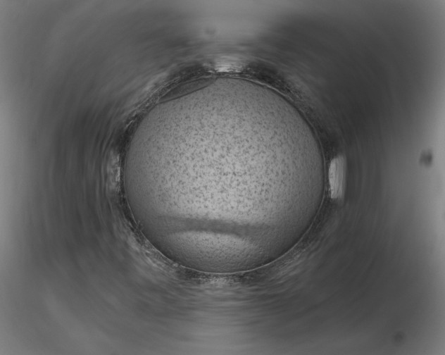 X0000116511443200912231223