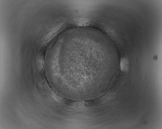 X0000116511444200912231223