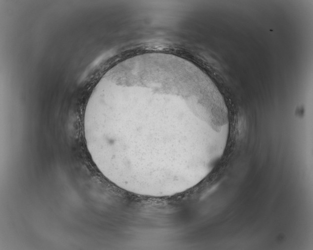 X0000116511446200912231223