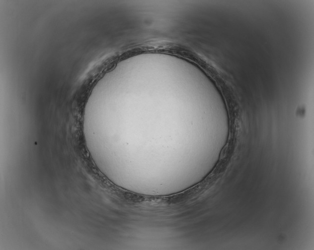 X0000116511447200912231223