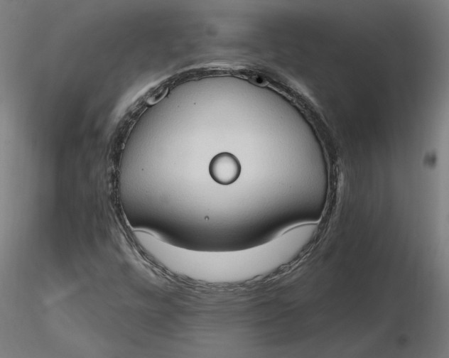 X0000116511448200912231223