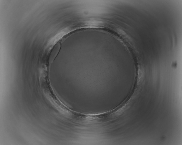 X0000116511449200912231223