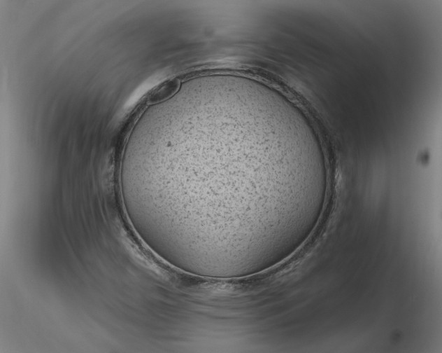 X0000116511450200912231223