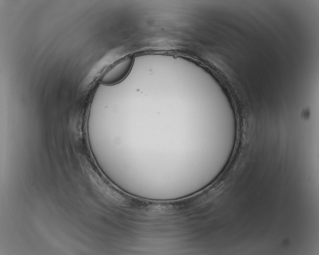 X0000116511451200912231223