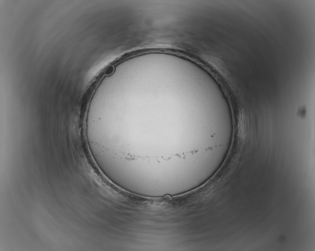 X0000116511452200912231223