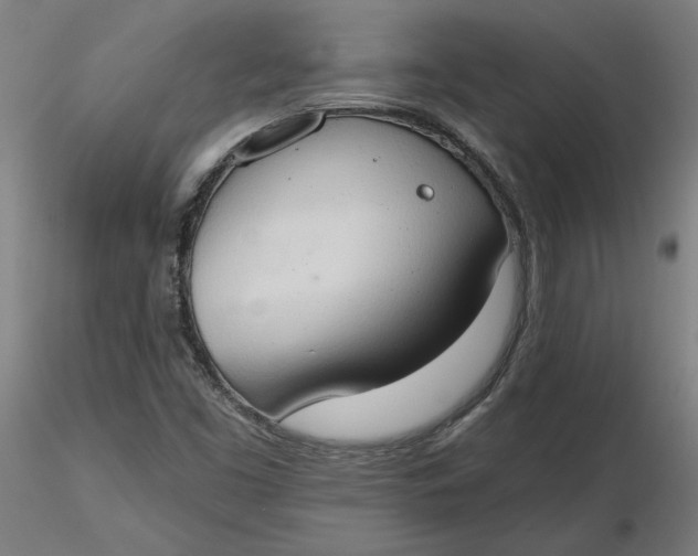 X0000116511453200912231223