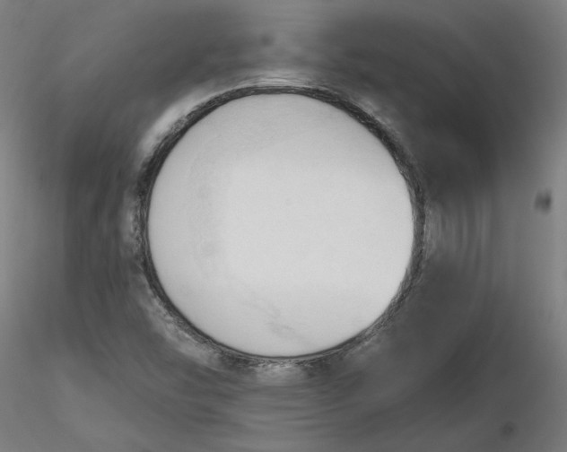 X0000116511454200912231223