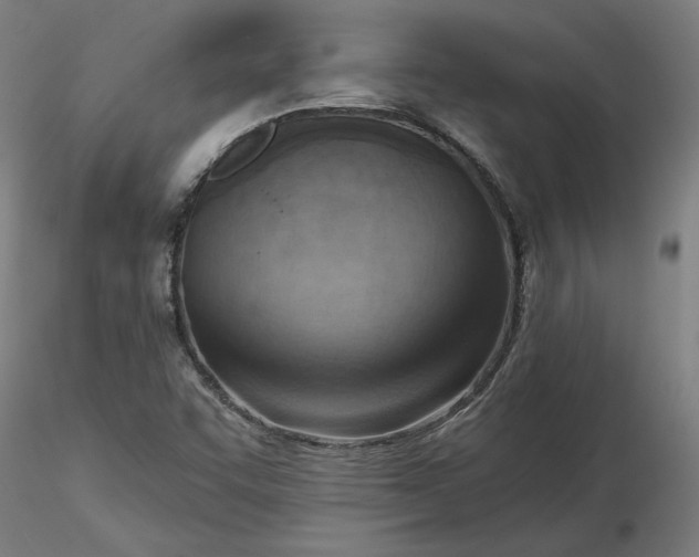 X0000116511455200912231223