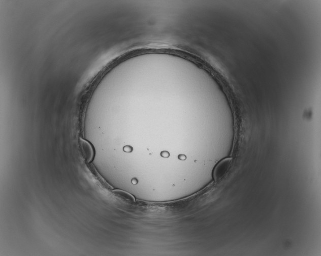 X0000116511456200912231223