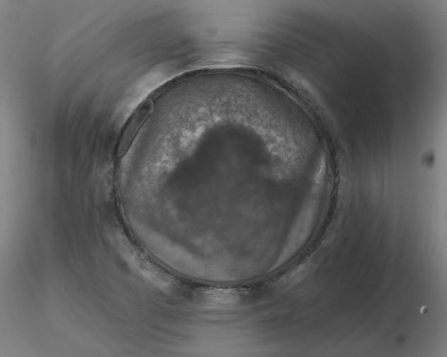 X0000116511457200912231223