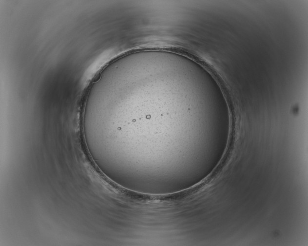 X0000116511459200912231223