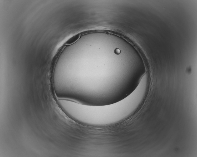 X0000116511460200912231223