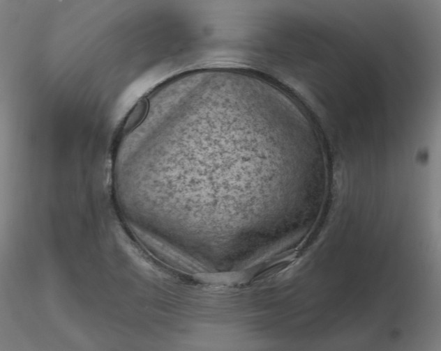 X0000116511461200912231223