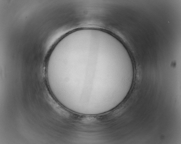 X0000116511462200912231223