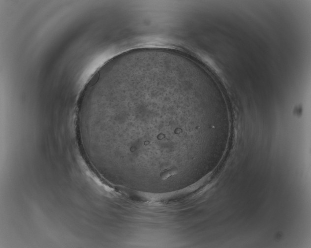 X0000116511463200912231223