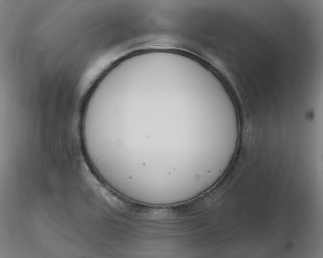 X0000116511464200912231223