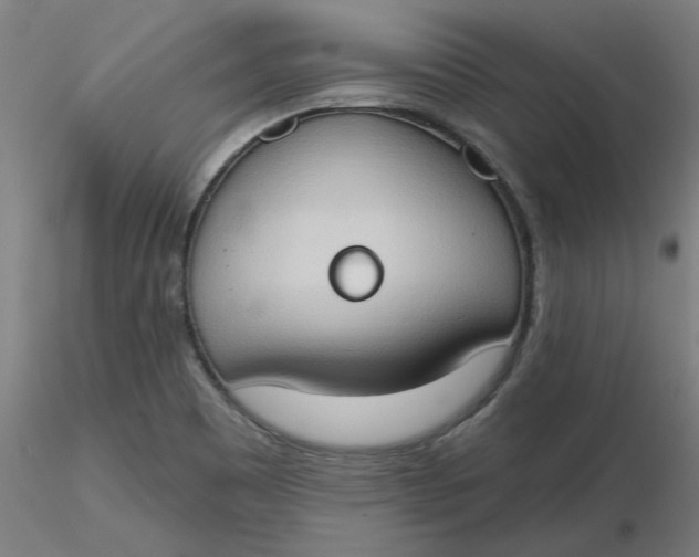 X0000116511465200912231223