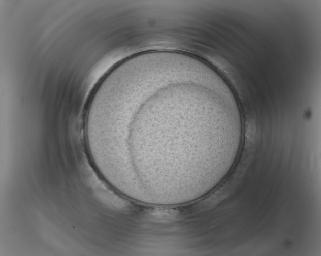 X0000116511466200912231223