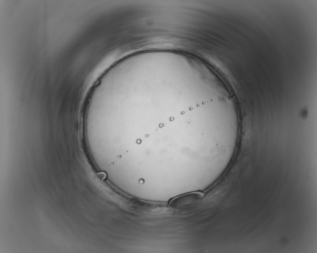 X0000116511467200912231223