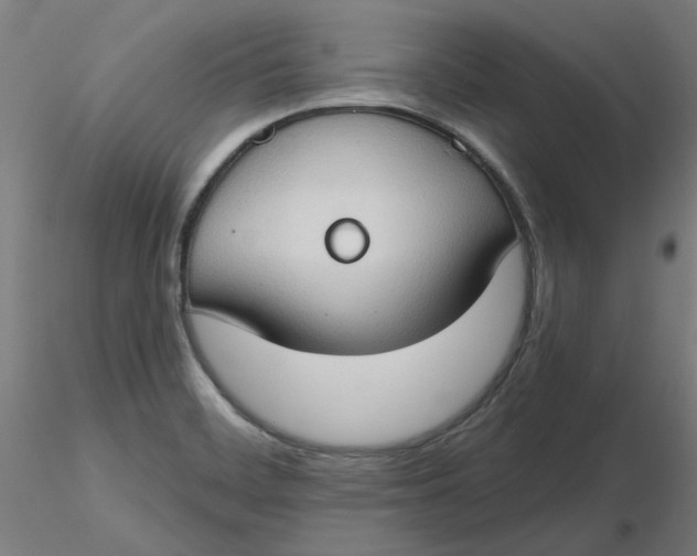 X0000116511468200912231223