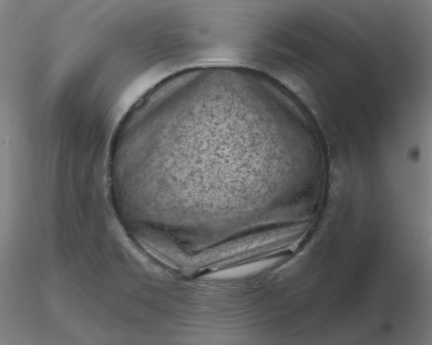 X0000116511469200912231223