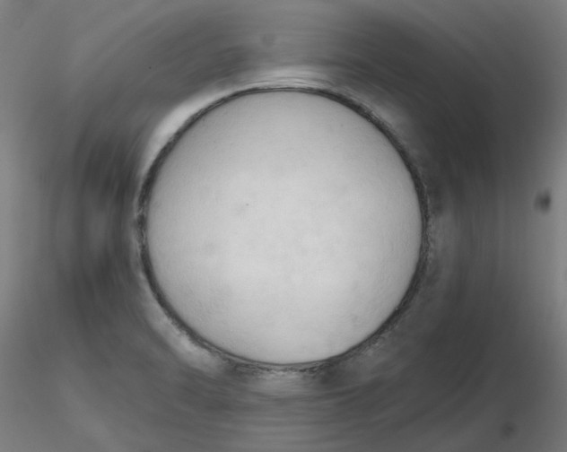 X0000116511470200912231223