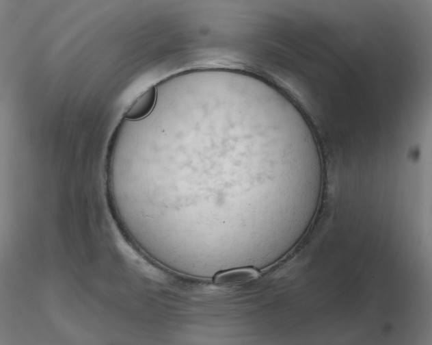 X0000116511471200912231223