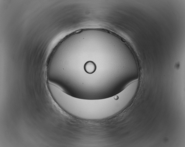 X0000116511472200912231223