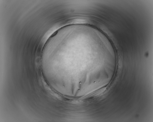 X0000116511473200912231223