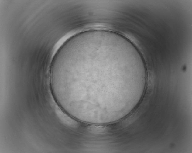 X0000116511474200912231223