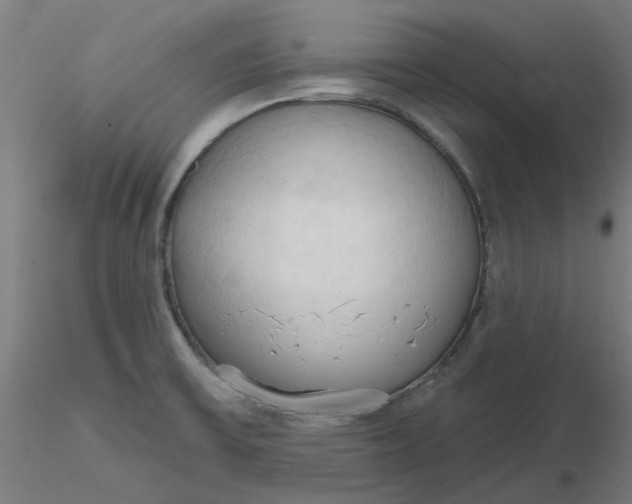 X0000116511475200912231223