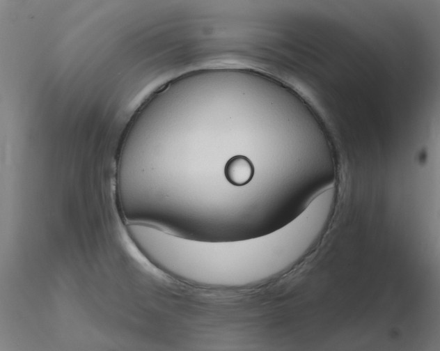 X0000116511476200912231223