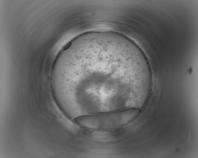 X0000116511477200912231223