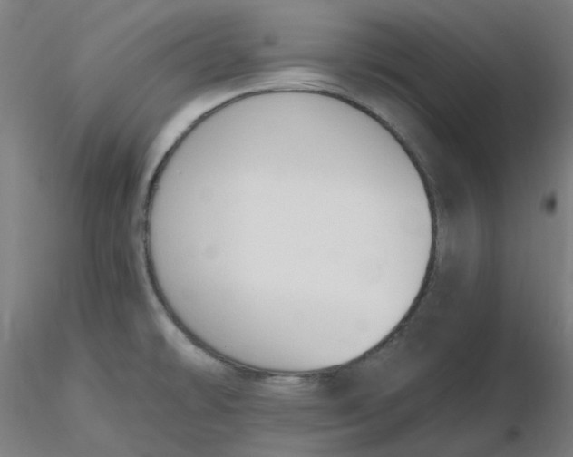 X0000116511478200912231223