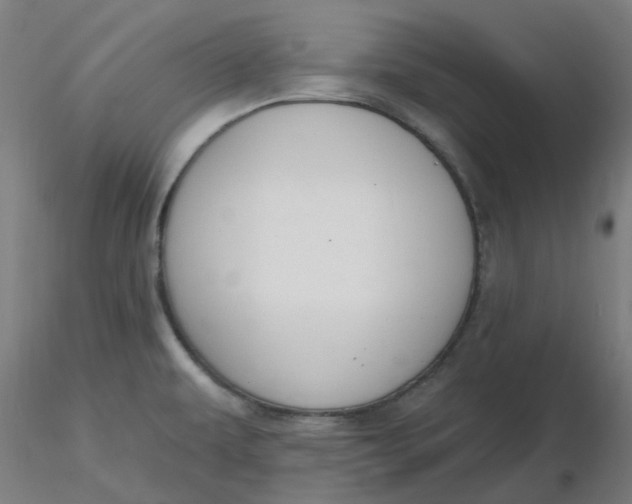 X0000116511479200912231223