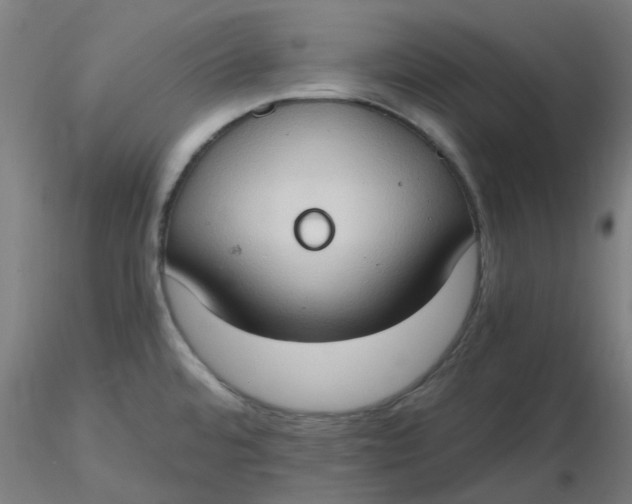 X0000116511480200912231223