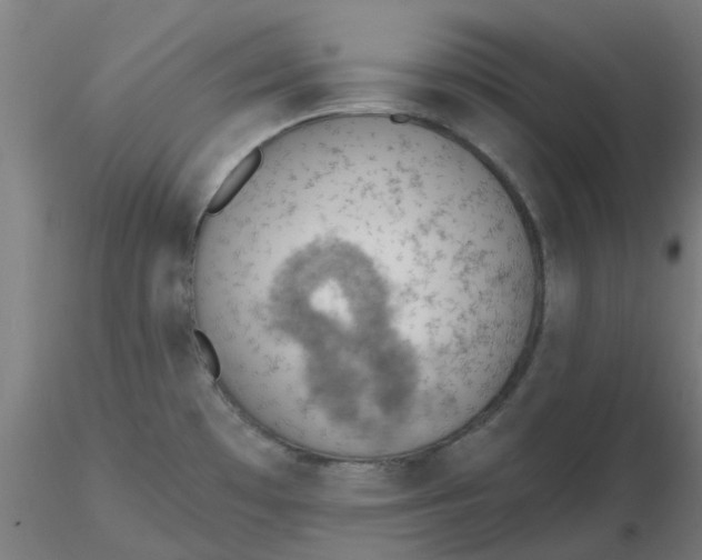 X0000116511481200912231223