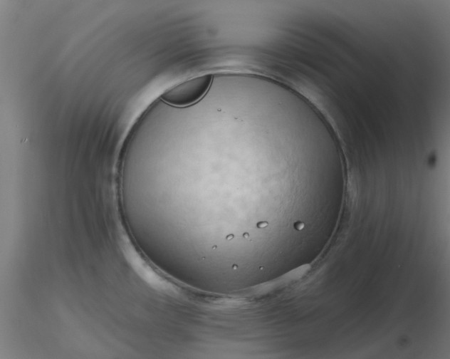 X0000116511482200912231223