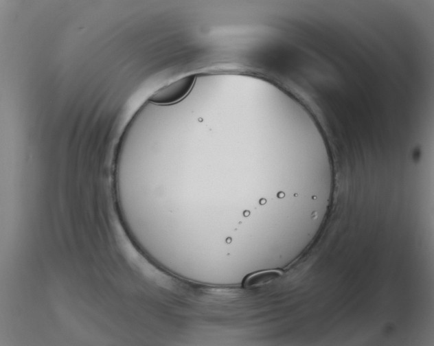 X0000116511483200912231223