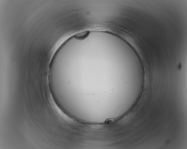 X0000116511484200912231223