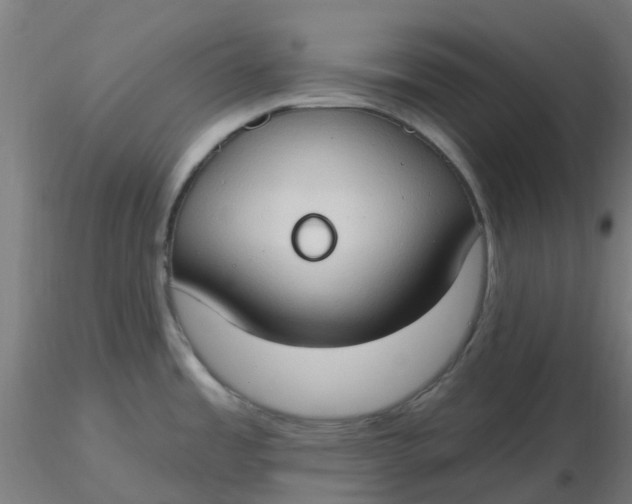 X0000116511485200912231223