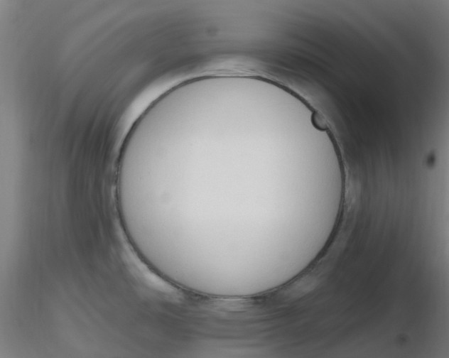 X0000116511486200912231223