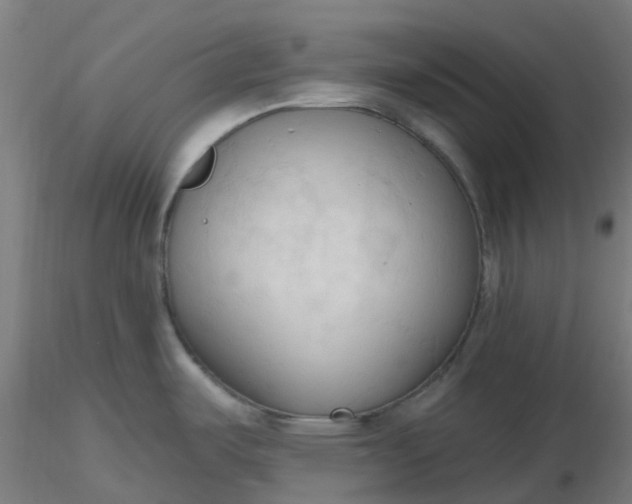 X0000116511487200912231223