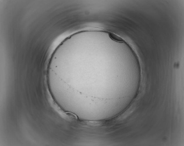 X0000116511488200912231223