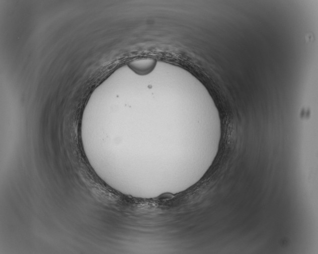 X0000116511489200912231222