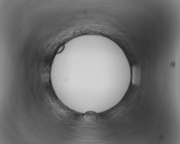 X0000116511491200912231222