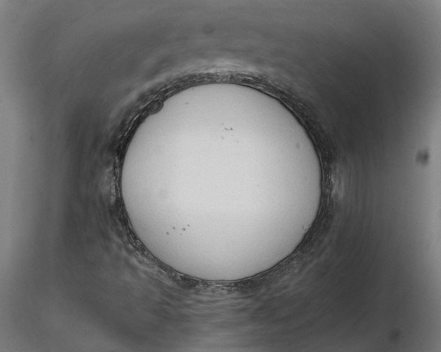 X0000116511493200912231222